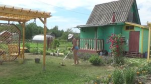 Огуречный рай! Активный отдых на даче. Лето 2019 года.