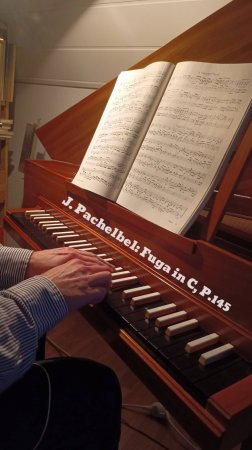 Счастливый Пахельбель | Happy Pachelbel