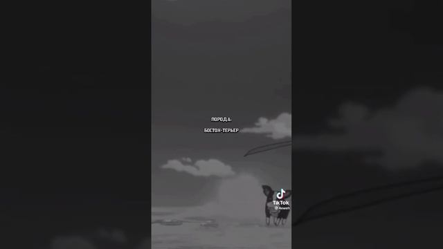 интересные факты Джоджо смотреть онлайн