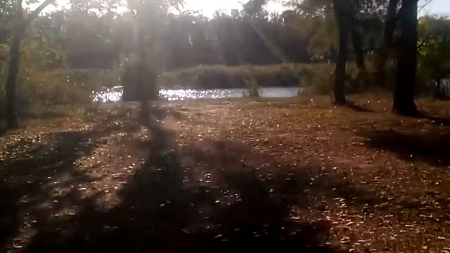 Сосновый Бор. смотреть онлайн