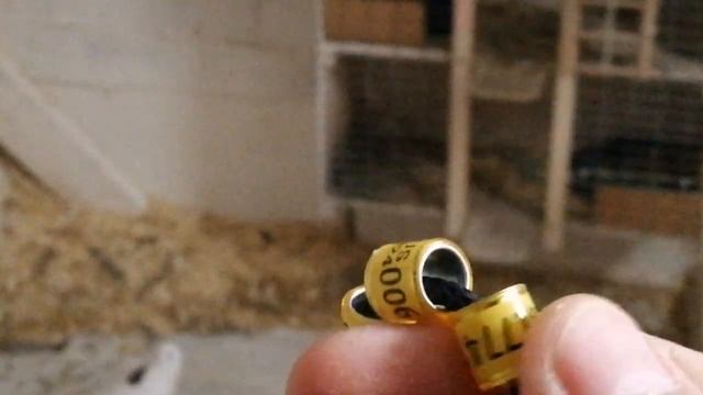 Открытие нового сезона..mp4 смотреть онлайн