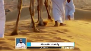 Abror Muxtor Aliy Sher To'fon.mp4