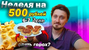 Выживаем неделю на 500 рублей | 6-7 день | Котлеты (с мясом)  и вареники