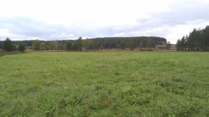 Родовое поместье на Нейве - 7 встреча - начало сентября