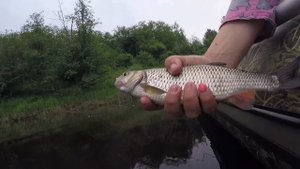 ОБЛОВИЛА МУЖА.ФИНГАЛ ПОД ГЛАЗОМ.ЗА ГОЛАВЛЕМ НА ЛОДКЕ Apache 370 НДНД.Попали в грозу, Верхняя Волга.