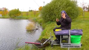 Донная ловля для начинающих. ловля плотвы на городском пруду.