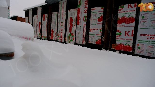 Помогите спасти больше жизней! 🔴 смотреть онлайн