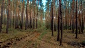 Вело ПВД Лопатинские карьеры