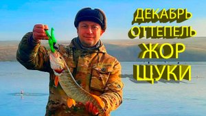 🔥 ЩУКА на ЖЕРЛИЦЫ. ДИКИЙ ЖОР в декабре после оттепели. Семь щук с восьми сработок!!! 🔥