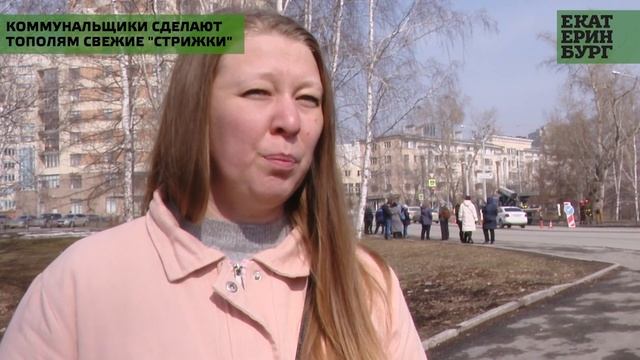 В этом году специалисты обновят внешний вид у 11 тысяч деревьев