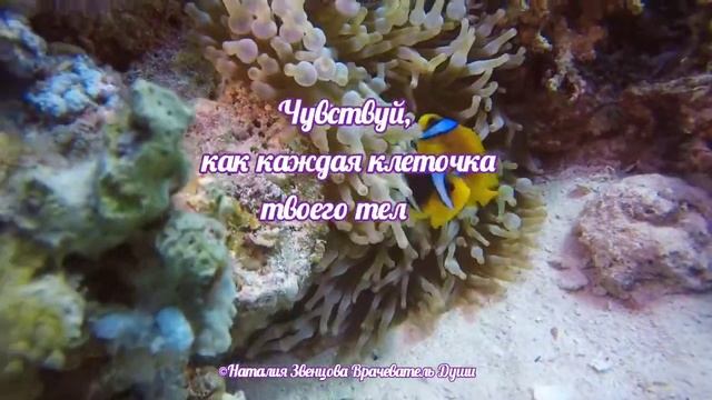 послание дня