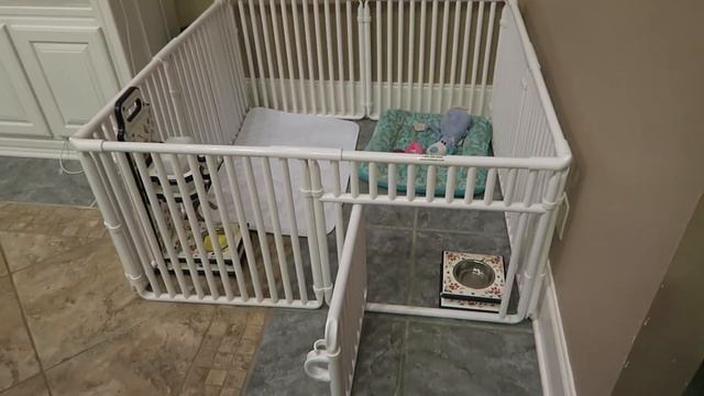 Rover Pet dog playpen review смотреть онлайн