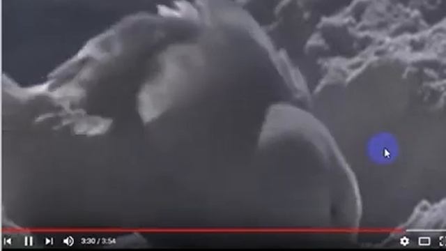 Залив морской под снегом, Стихи Л Шестаков, муз Самуил Фрумович смотреть онлайн