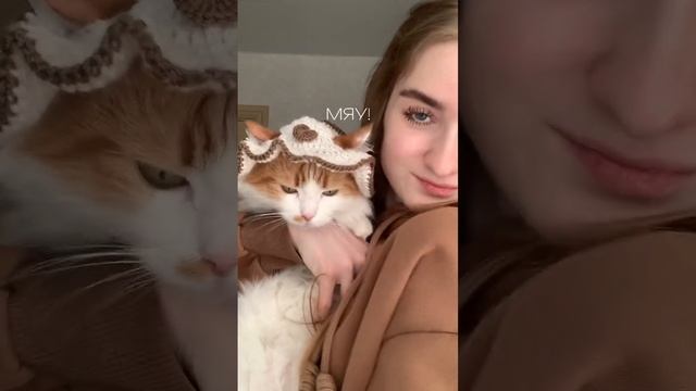 Мяу! мяу! мяу! #вязание #вязаниекрючком #shorts #панамкадлякошкм смотреть онлайн