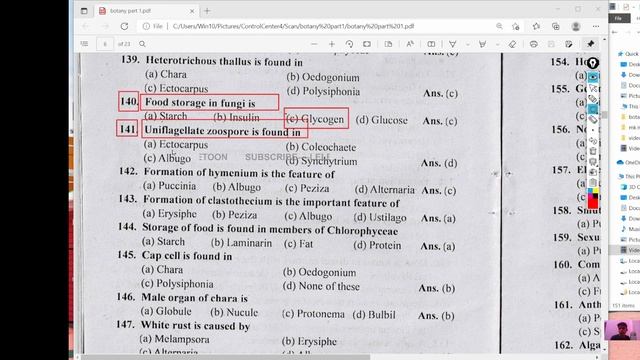Uniflagellate zoospore is found in