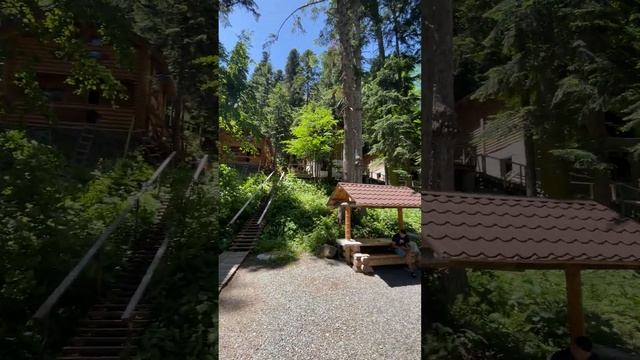 Домик в горном лесу. Домбай #горы #домбай #домиквлесу #путешествия #атмосферасчастья #горыкавказа смотреть онлайн