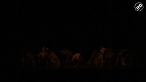 22. Сестры бури – Ангелина Зинчик