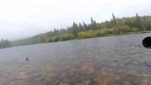 Обратная сторона "Забытых рек" Где-то в истоках Печеры