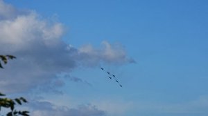 Русские витязи