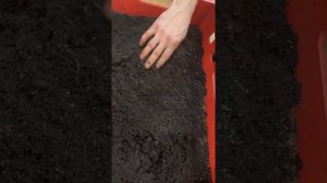 Червь для Рыбалки