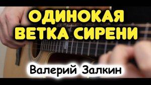 В. Залкин — Одинокая ветка сирени на гитаре. Табы и ноты