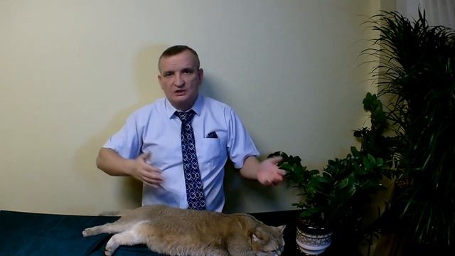 Мировое правительство
