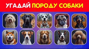 УГАДАЙ ПОРОДУ СОБАКИ