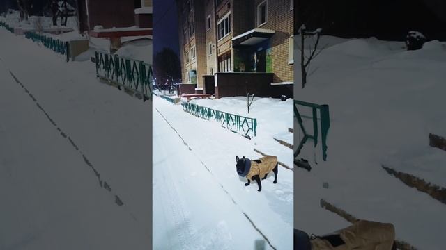 Прекрасное утро 😆