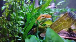 Вы посмотрите на эту наглую рожу...