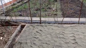 Содержание осетровых в домашних условиях. Начало сезона 2022.