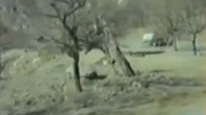 177МСП 1МСБ 2/5.wmv