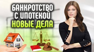 Сохранение ипотеки при банкротстве. Новые дела. Статистика.