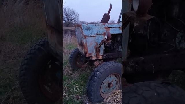 Обзор МТЗ 50 Часть 2. ТГК-DanilaFermer #врек #работа #shorts #farmlive #farming #деревня #МТЗ #обзор