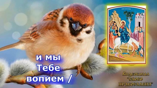 Величание Входу Господню в Иерусалим аудио молитва с текстом и иконами (Вербное воскресение)