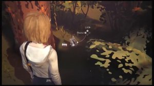 Life Is Strange - Close Ups Achievement