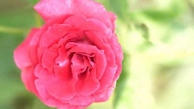 Муж выгнал на улицу и оставил без работы. Медсестра с сыночком поехала в глушь за наследством… смотреть онлайн