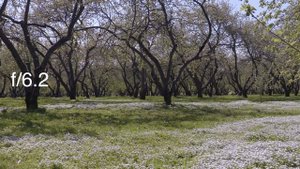 Canon XC15. Качество изображения на разных значениях диафрагмы