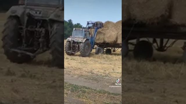 Заготовка на зиму