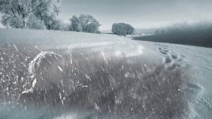 Судьба - Эдуард Хуснутдинов