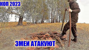 ЗМЕИ ПОВСЮДУ!НЕВОЗМОЖНО КОПАТЬ МЕТАЛЛ!