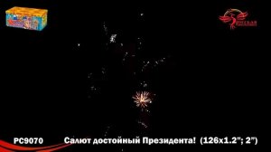Салют достойный президента PC 9070 Залпов 126 / Калибр 1,2 и 2"