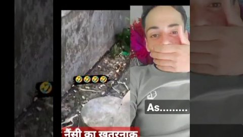 बंदर की सेटिंग का हाथ ना वीडियो#shortvideo #shots #shortsvideo