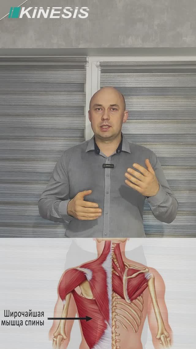 Треугольник здоровья