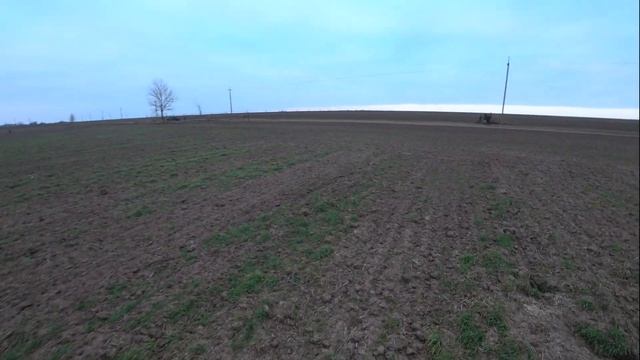 ОБЛАВА НА ЗАЙЦА от первого лица. Коллективная охота на зайца. Hare hunting first person. смотреть онлайн