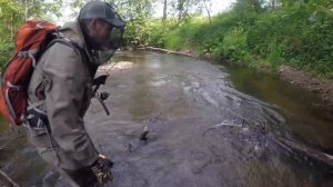 ДИКАЯ ФОРЕЛЬ.Красавица пеструшка.РЫБАЛКА С НОЧЕВКОЙ