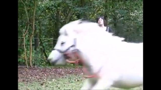 indonesian girls ride part 3 смотреть онлайн