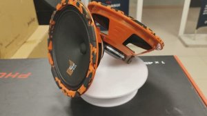 DL audio Gryphon Pro 200 Neo Обзор и прослушивание .