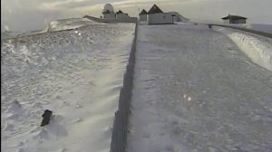 стервятники