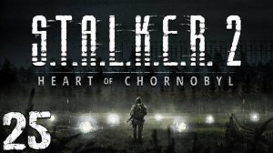 S.T.A.L.K.E.R. 2 Heart of Chornobyl #25. Кордон