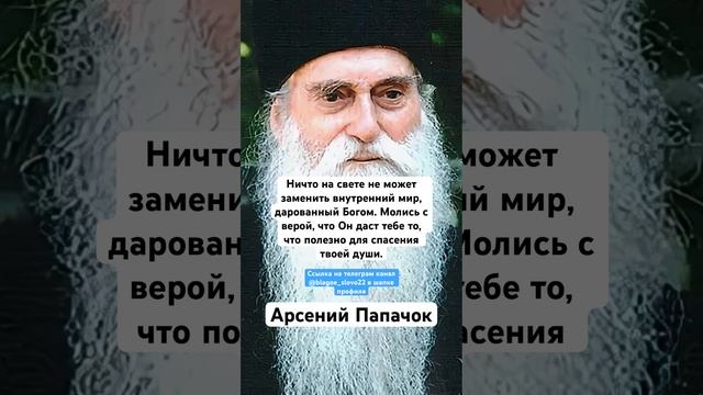 Арсений Папачок смотреть онлайн